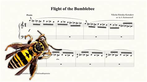 Flight Of The Bumblebee Rimsky Korsakov Youtube
