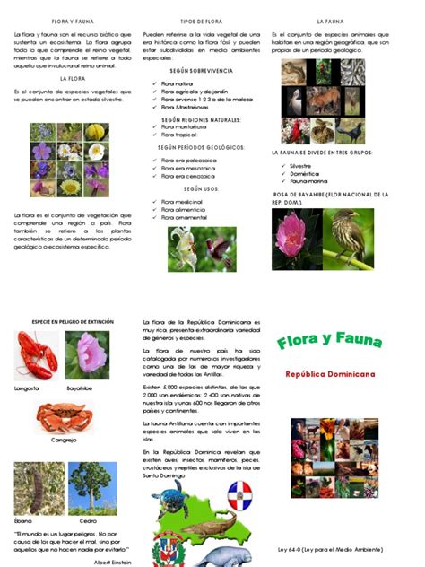 Flora Y Fauna Brochure Flora Fauna