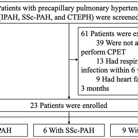 Flow Diagram Of Patient Recruitment Abbreviations Cpet Download