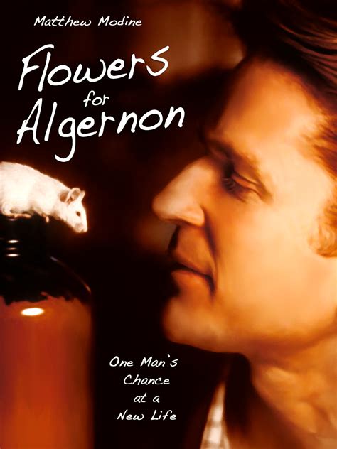 Flowers For Algernon