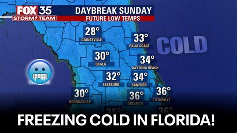 Freezing Cold In Florida Is Snow Possible This Weekend Here S What