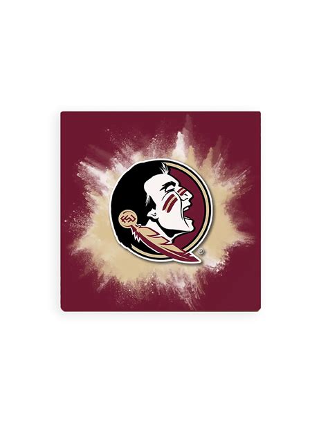 Fsu Color Splash Coaster Barefoot Campus Outfitter