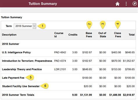 FSU Out of State Tuition Costs