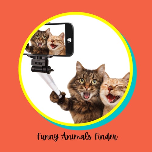 Funny Memes About Animals Images And Photos Finder