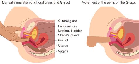 Find Your G Spot Location