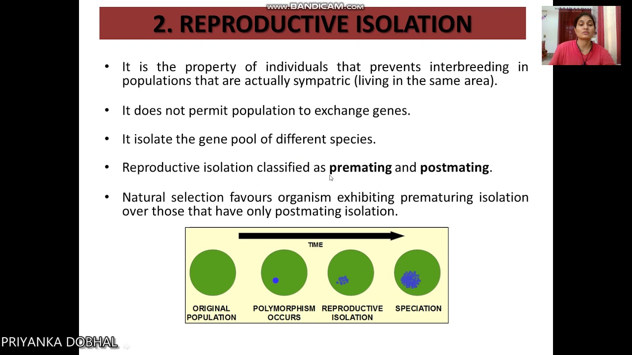 Gene Flow And Speciation Youtube