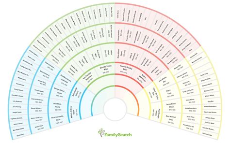 Genealogy Fan Chart Display And Print Your Family Tree In 7 Ways
