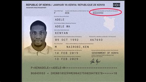 Government Issued ID Number Guide