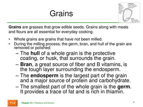 Grains Chapter Ppt Download