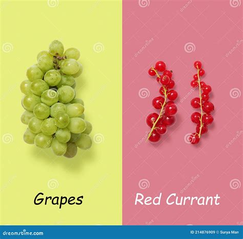 Grapes Vs Red Currant On Grey And Red Background Stock Photo Image Of