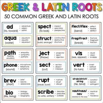 Greek Latin Roots Lesson For Kids Study Com