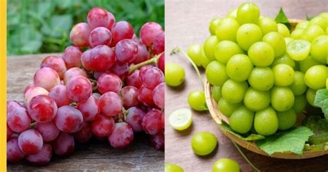 Green Vs Red Grapes