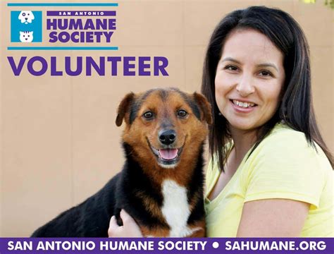 Group Volunteer Opportunities San Antonio Humane Society