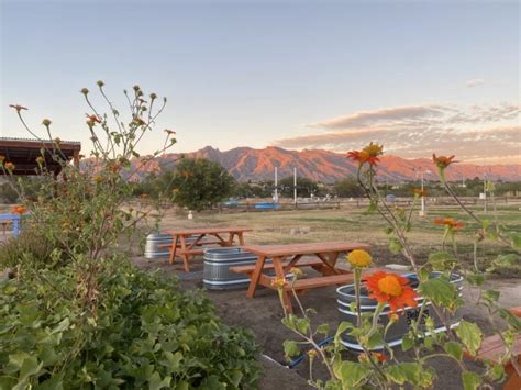 Grow Tucson Village Farm