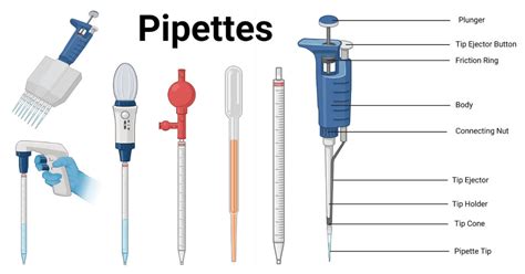 Guide To Pipettes Principle Types Key Uses