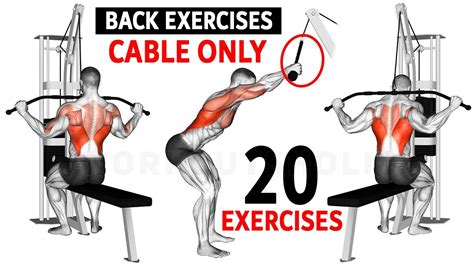 Gym Back Cable Exercises At Joy Herman Blog
