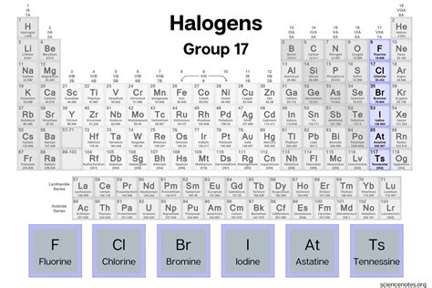 7 Halogens Facts