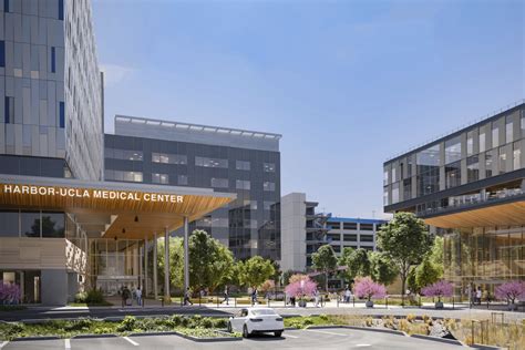 Harbor Ucla Medical Center Redevelopment Program Healthcare Hmc