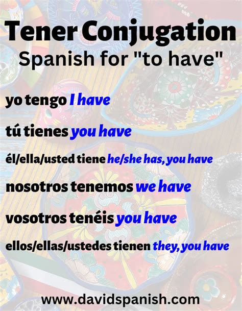 Has in Spanish Translation