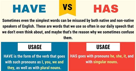 Has vs Have: Grammar Basics