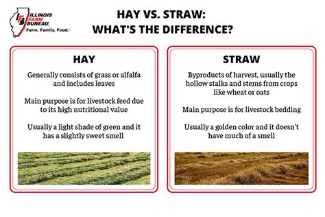 Hay Vs Straw What S The Difference Illinois Farm Bureau Partners