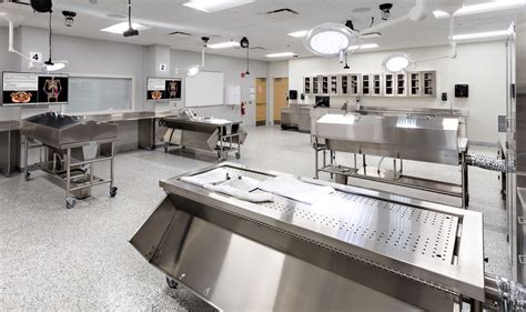 Health Science Center Cadaver