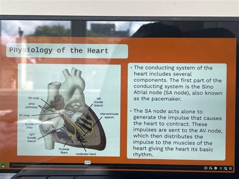 Health Sciences Texas 7Th 12Th Quizlet