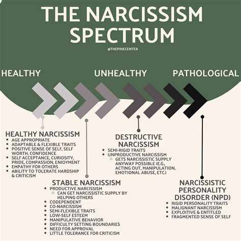 Healthy Narcissism Narcissistic Abuse Narcissism Narcissistic