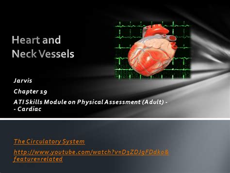 Heart Neck Vessels Chapter 19 Jarvis Ppt Download