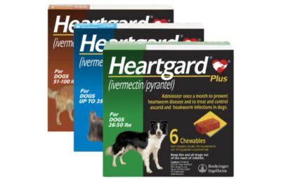 Heartworm Medication Dogs