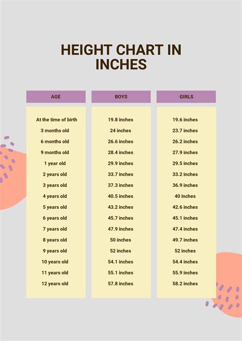 Height Chart In Inches In Pdf Download Template Net