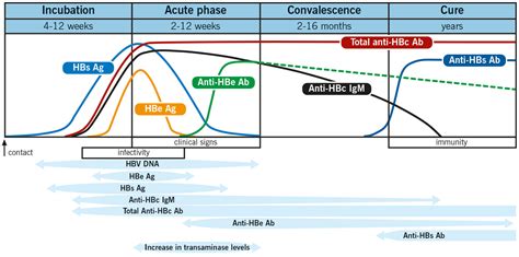 Hep B Surface Ab