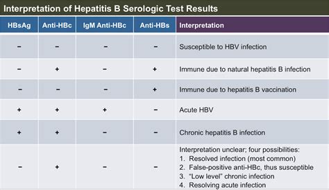 Hepatitis B Virus Test Hepatitis B Interpretation Of Result Hepatitis B