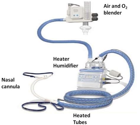 High Flow Nasal Cannula Oxygen Therapygreat Respiratory Heated My Xxx