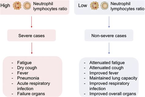 High Neutrophil To Lymphocyte Ratio As A Prognostic Marker In Covid 19