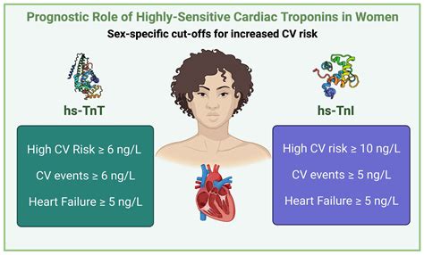 High Sensitive Cardiospecific Troponins The Role Of Gender Specific