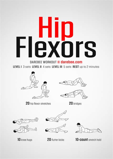 Hip Muscles Pictures And Exercises