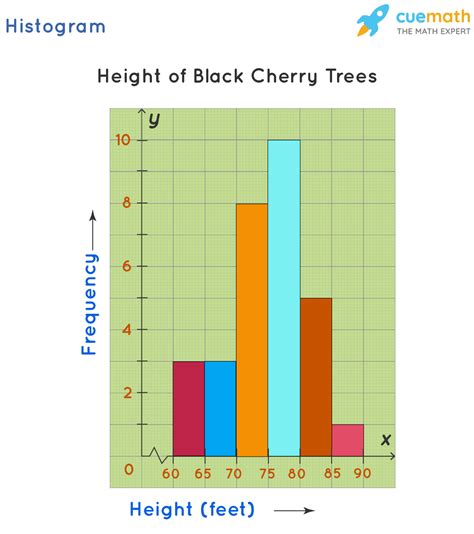 Histogram With Examples At Nathan Williams Blog