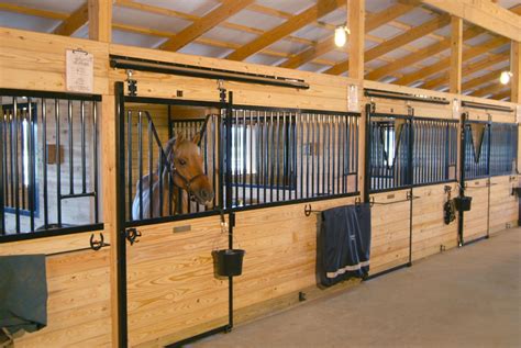 5 Best Stables Near Me