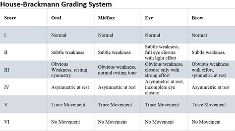 House Brackmann Score