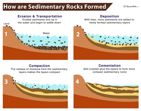 How Are Sedimentary Rocks Formed Understanding The Process
