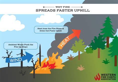 5 Ways Wildfires Start