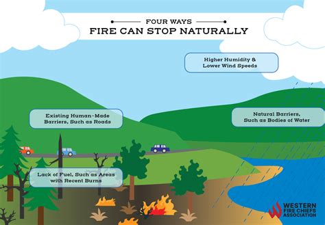How Do Wildfires Stop Naturally Wfca
