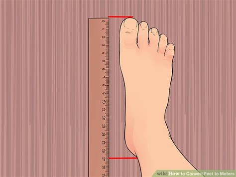 How Long In Feet Is A Meter At Jessica Flores Blog