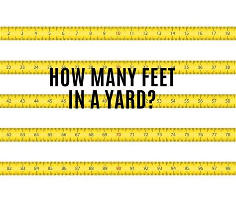 3 Feet in Yard