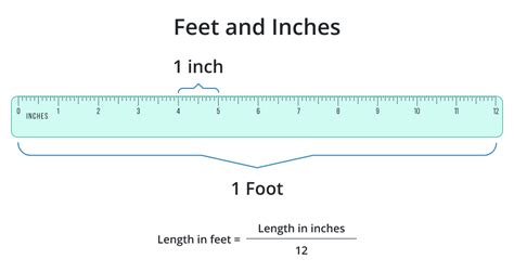 6 Inches to Feet Conversion