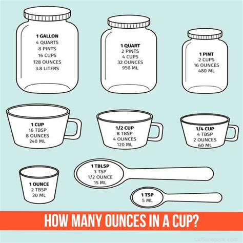 How Many Ounces In A Cup 2024