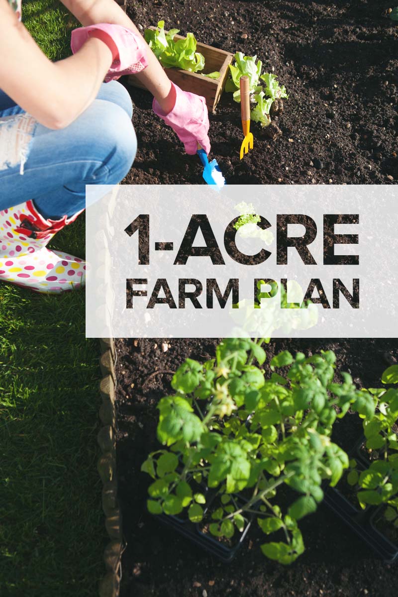 5 Ways Yards Fit Acres