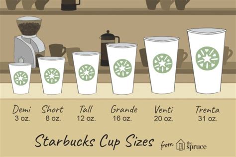 How Tall Is A 24Oz Cup