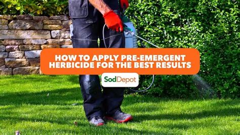 How To Apply Pre Emergent Herbicide For The Best Results